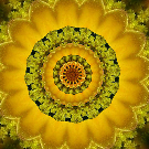 A meditation to bring Divine Grace into your solar plexus
